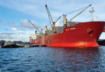 Bangladeshi flag carriers back in business