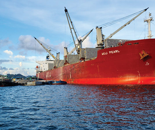 Bangladeshi flag carriers back in business