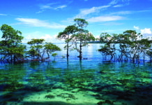 The Bay of Bengal: the key to sustainable economic development